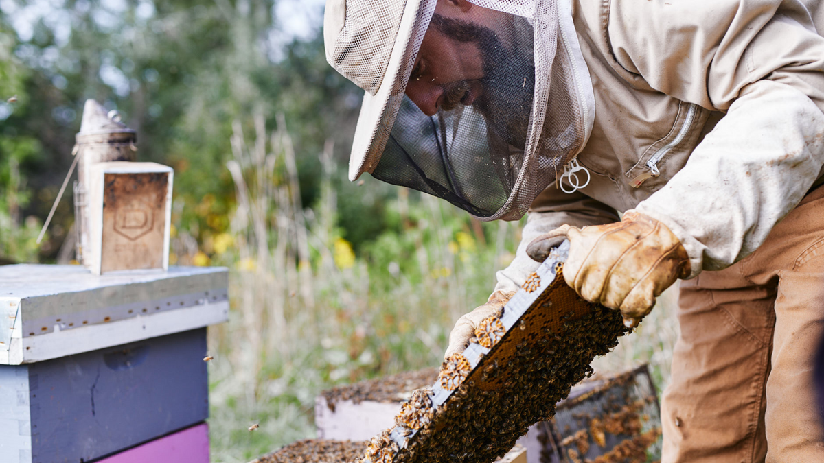 What’s It Like To Be a Beekeeper? Ontario Honey Creations