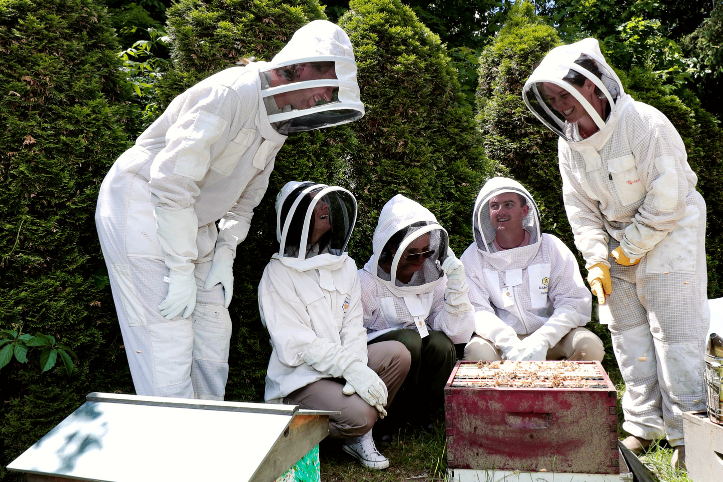 Five people wearing beekeeping suits, kneeling around an opened hive.