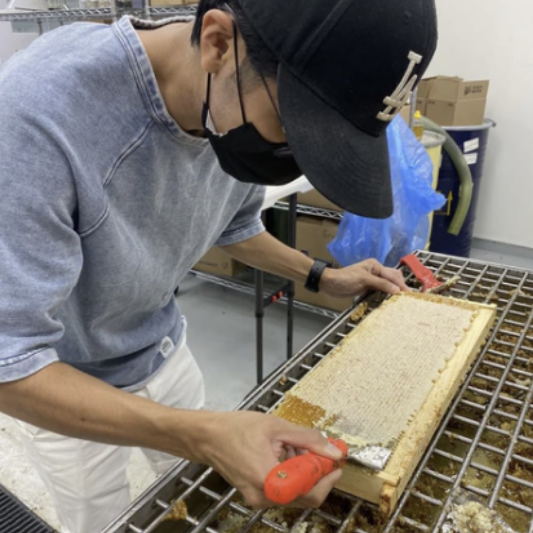 Man uncapping a frame of honey by hand.