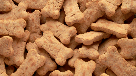 Banana dog biscuits shop