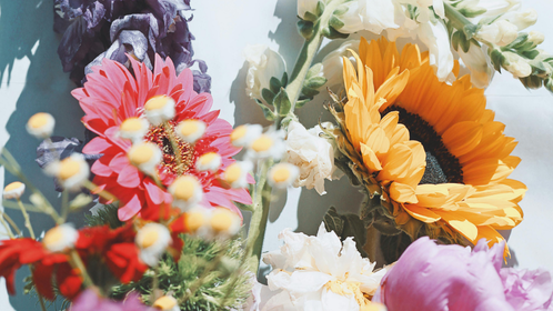A bouquet of flowers against a white background