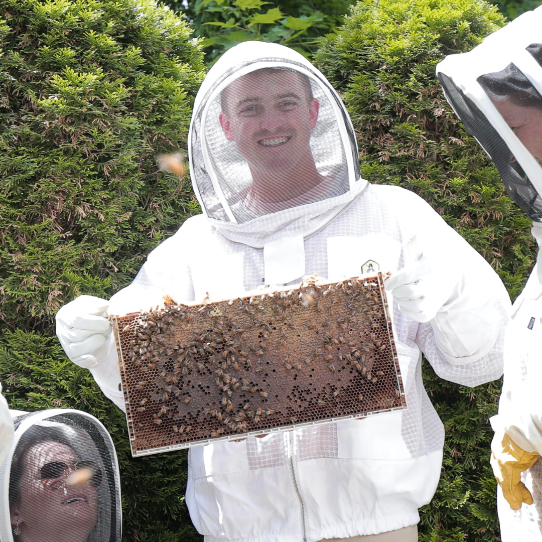 Beekeeping Experience