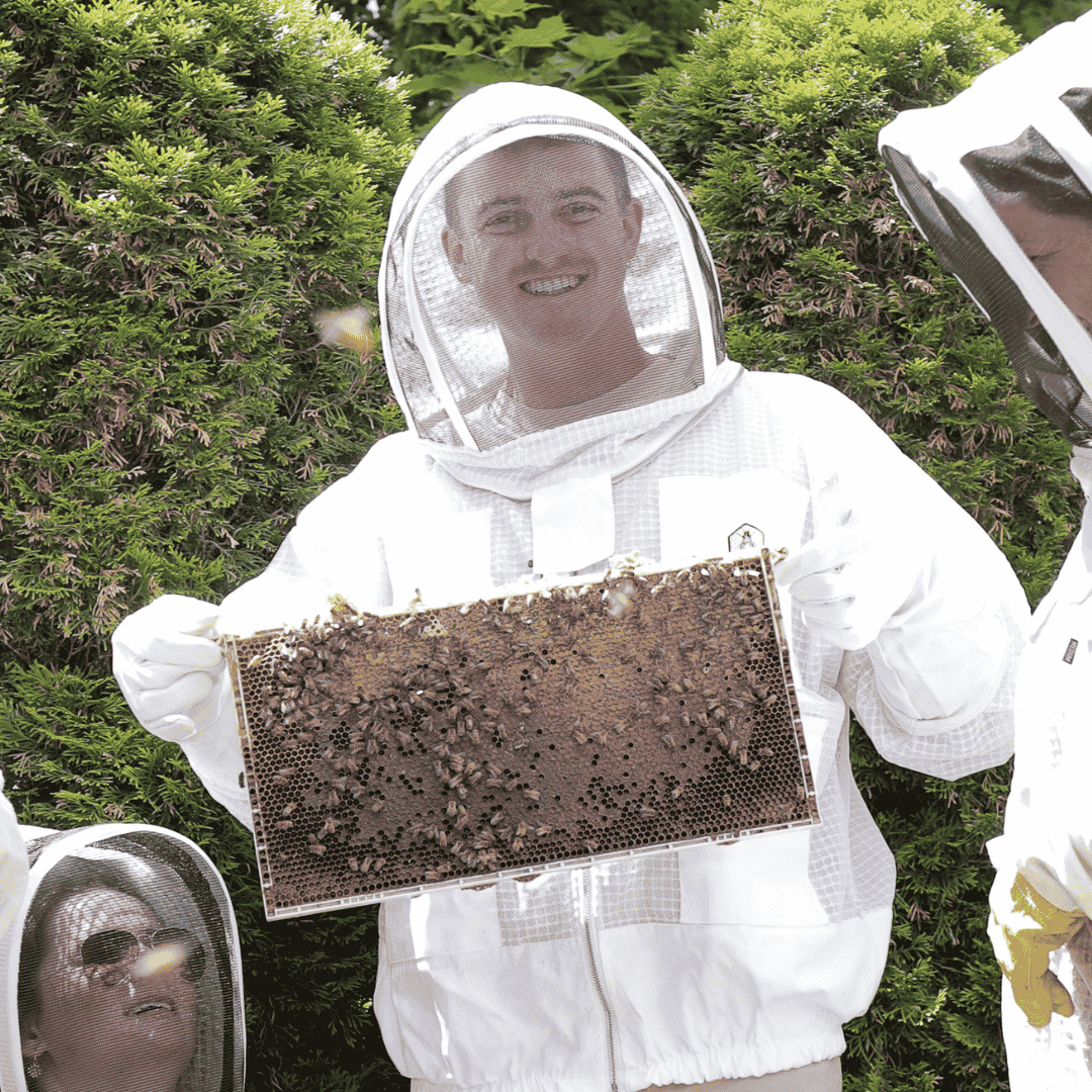 Beekeeping Experience