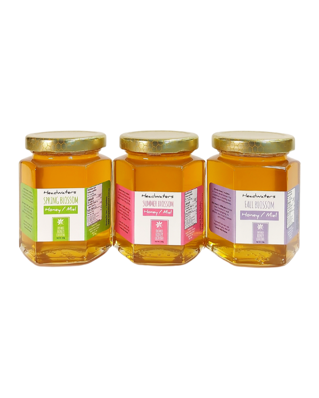 Headwaters Honey 250g Collection