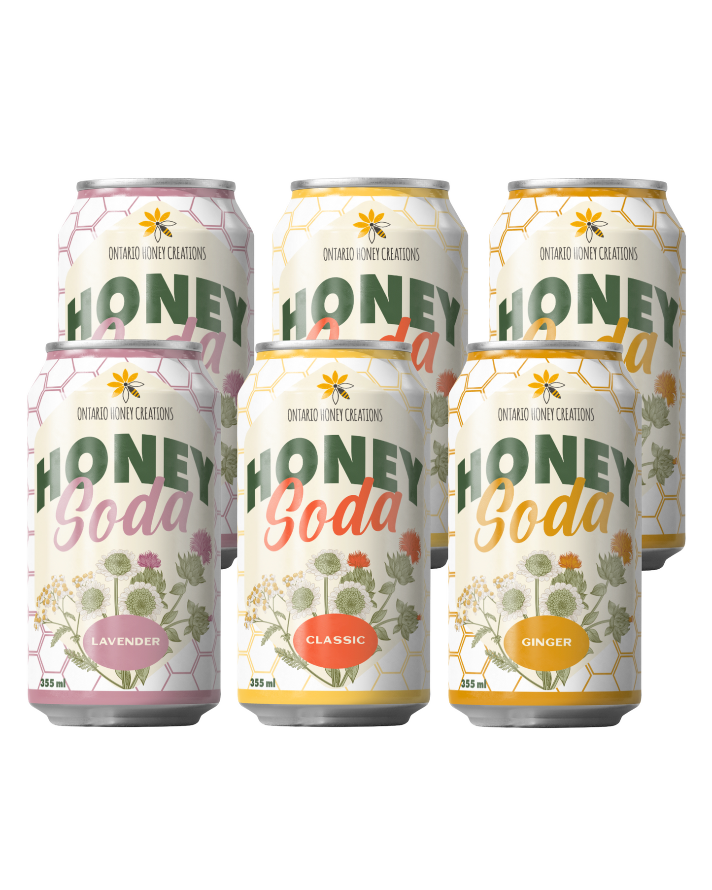 Variety Honey Soda 6-Pack
