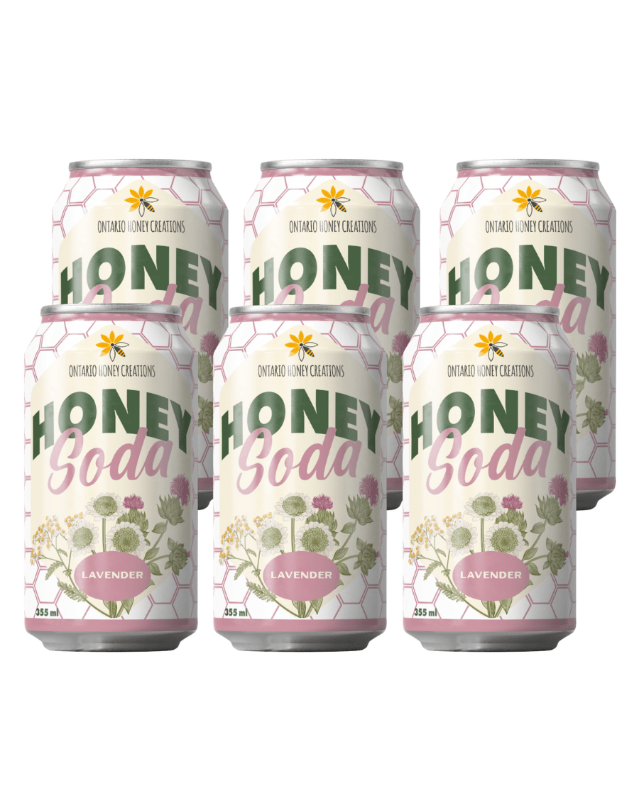 Lavender Honey Soda 6-Pack