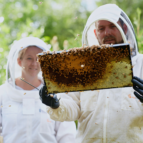 Sarah and Peter wearing beekeeping suits while Peter holds a frame of honey.