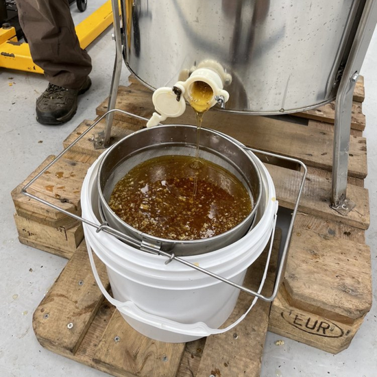 Honey dripping from extractor into a sieve.