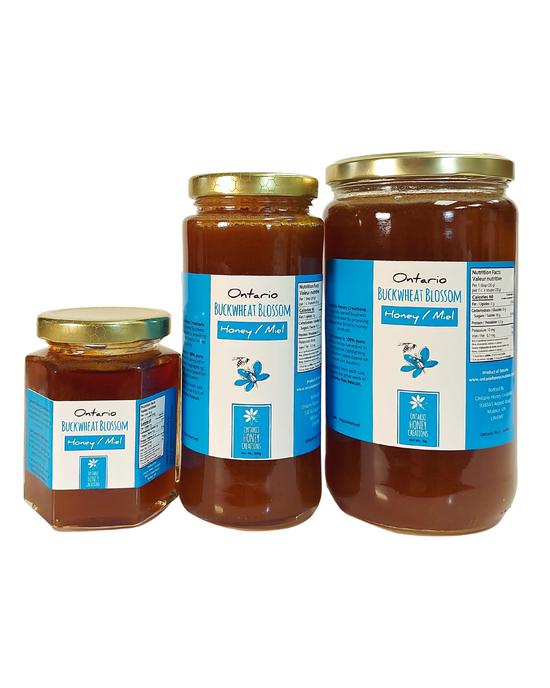 Raw Ontario Buckwheat Honey collection, 250g, 500g, 1kg jars.