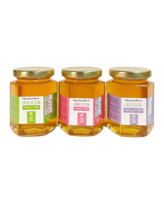 Headwaters Honey 250g Collection