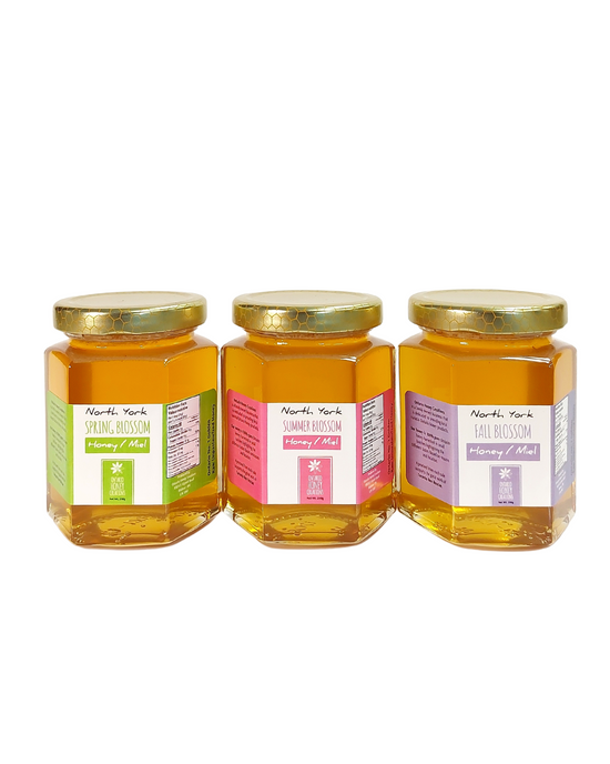 North York Honey 250g Collection